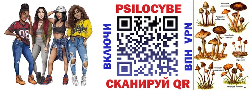 цена   нарко площадка формула  Псилоцибиновые грибы Psilocybine cubensis  Спасск-Дальний 